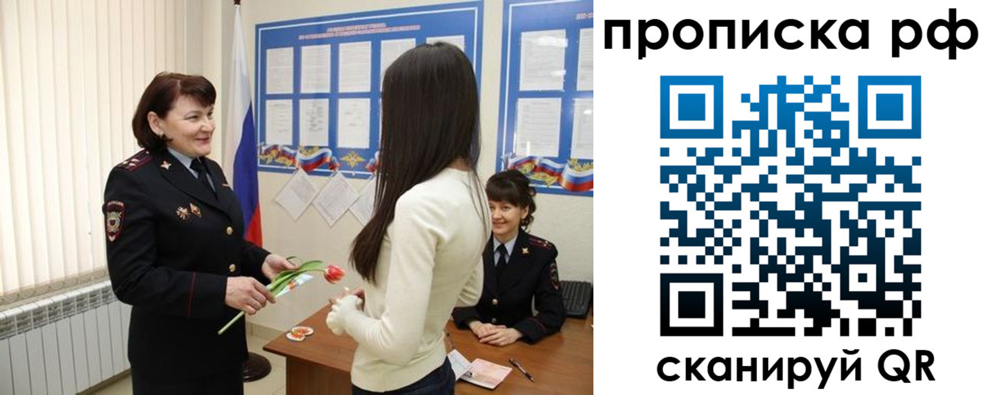 прописка поиск в Димитровграде